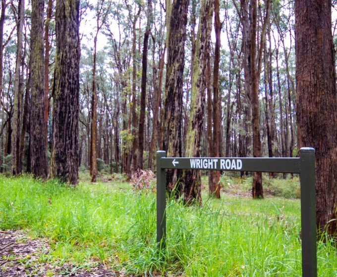Wright Forest Bushland Reserve